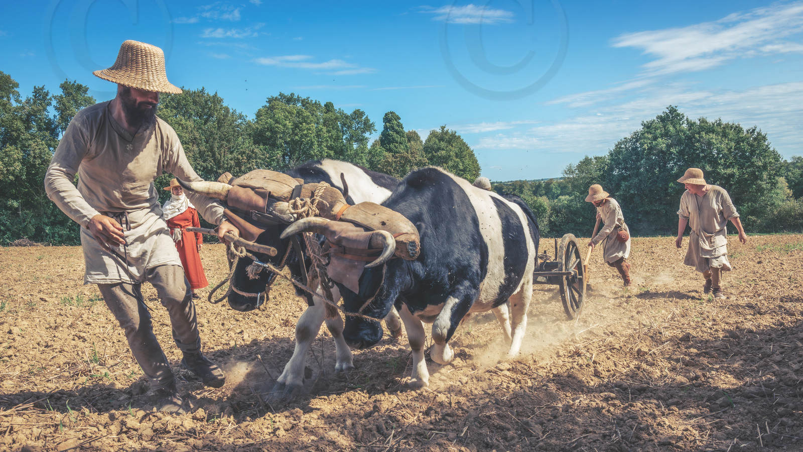 1127 - Labour des champs