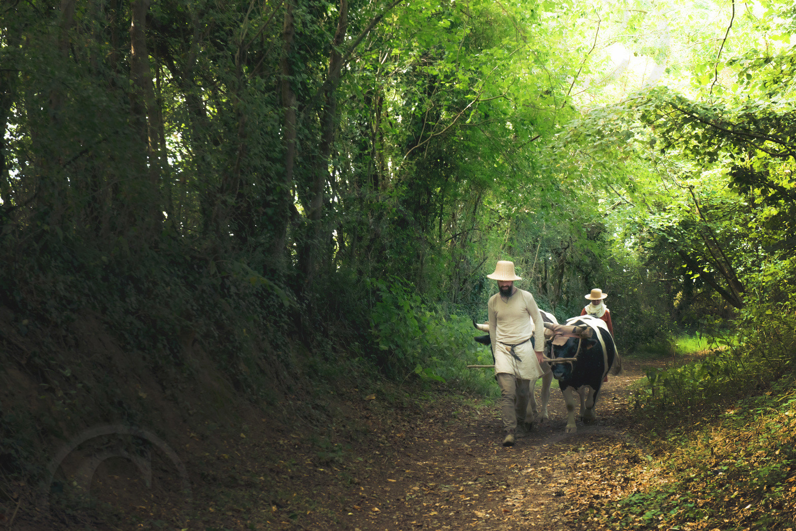 1127 - Labour des champs