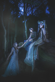 Les fées des bois