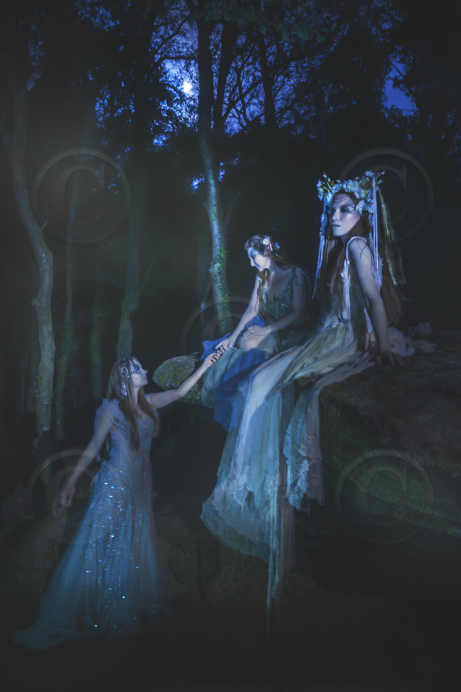 Les fées des bois