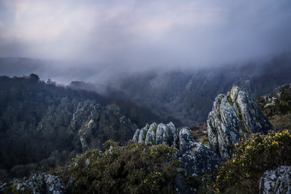 dsc_1946-avec-accentuation-nr-copie.jpg