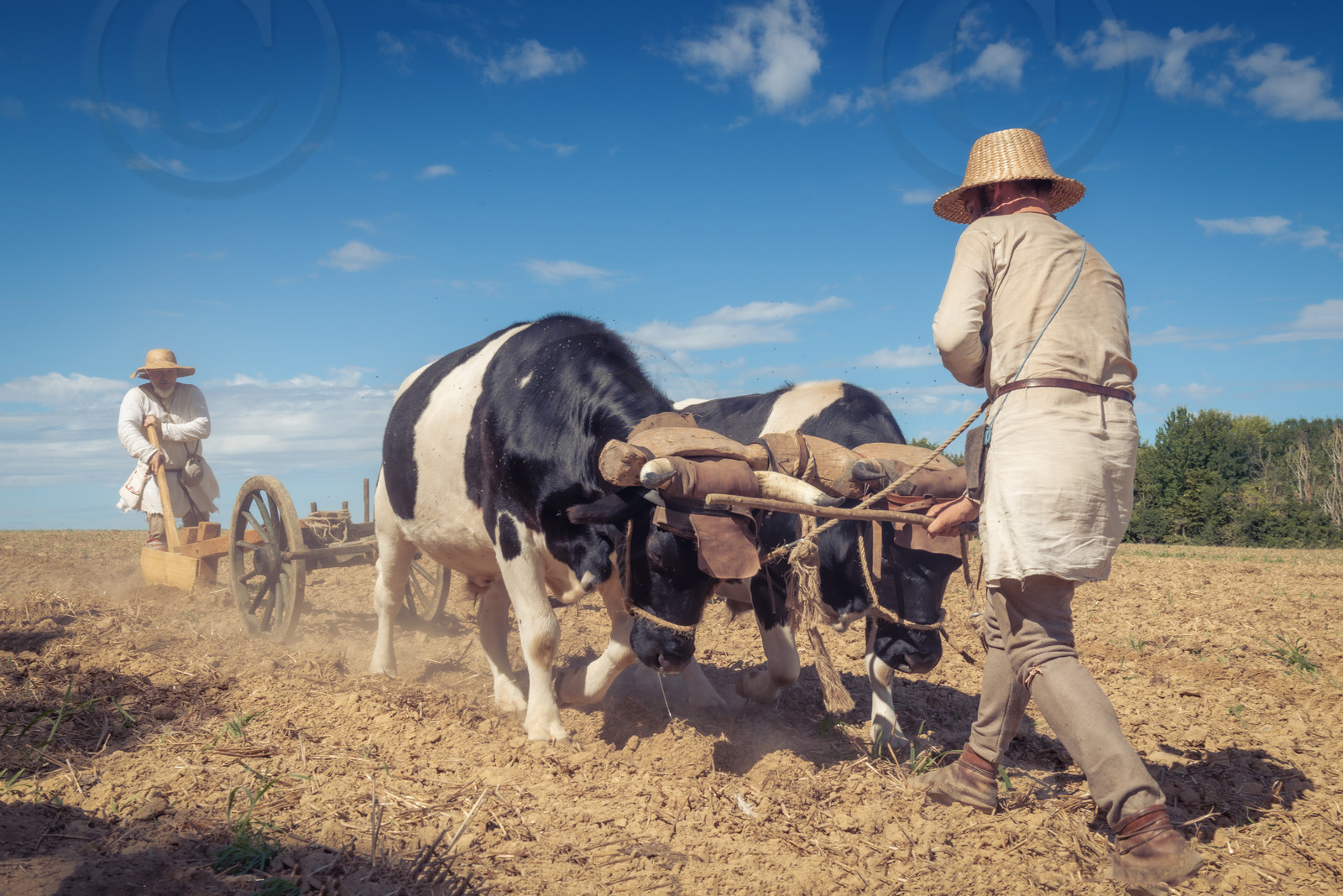 1127 - Labour des champs